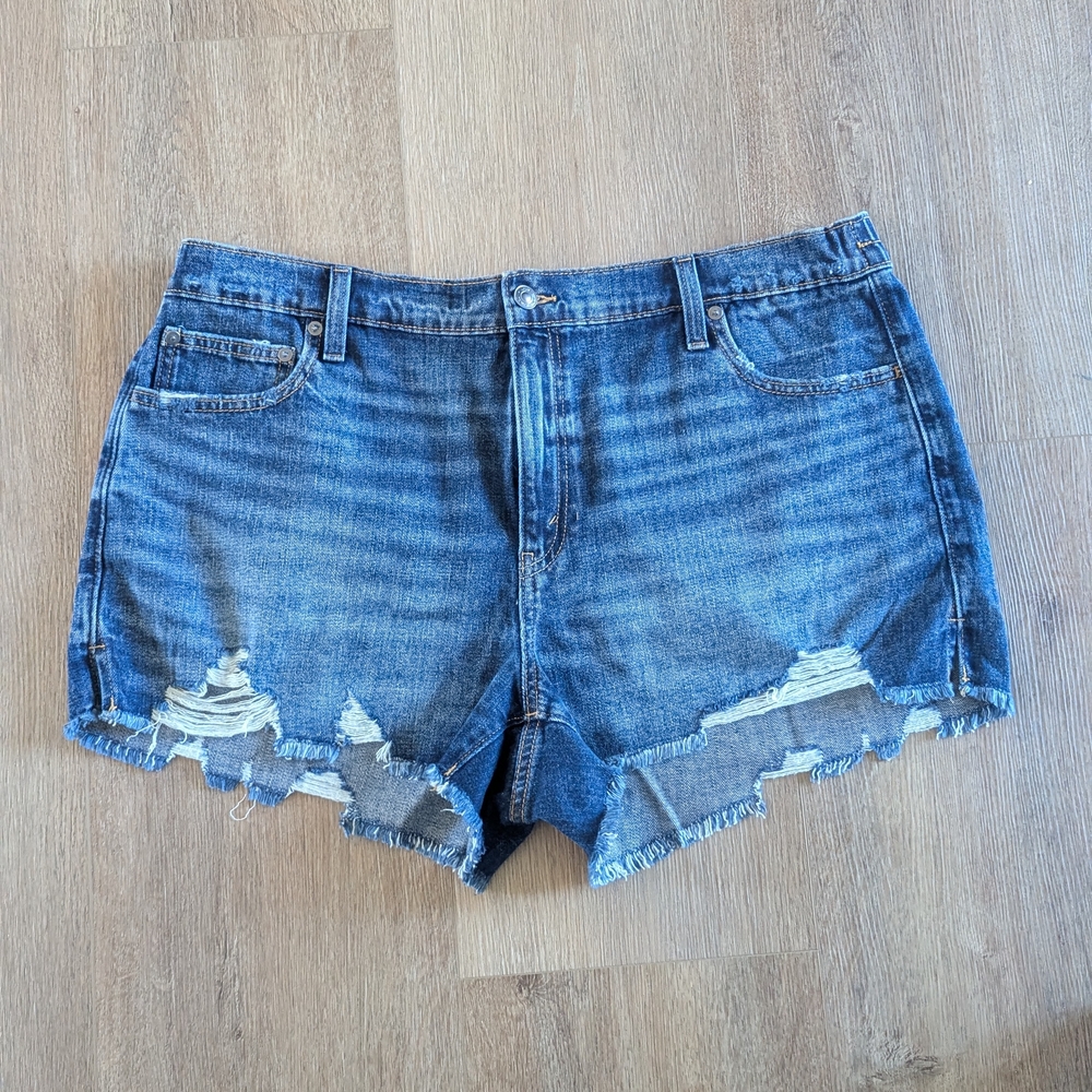 Aerie Blue Distressed Jean Shorts with Raw Hem